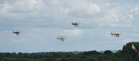 Tiger Moths D810_019_0447