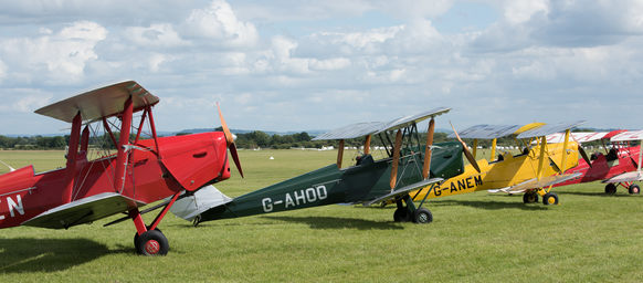 Tiger Moths D810_019_0691