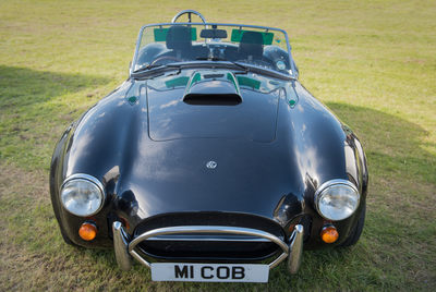 AC Cobra D810_020_0008-1