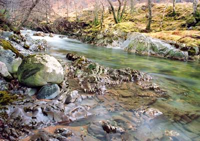 Glen Nevis 130_30