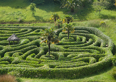 Glendurgan Maze 091_0055