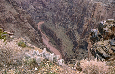 Grand Canyon 437_20