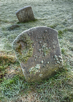 Gravestones 118_0509-11_tm