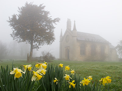 Holy Trinity Daffodils G086_2248