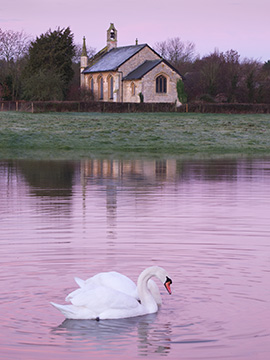 HolyTrinitySwan G135_3358