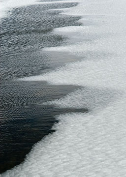 Ice Patterns 0376