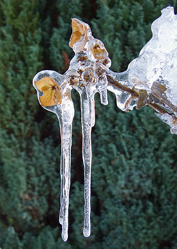 Ice G051_1351