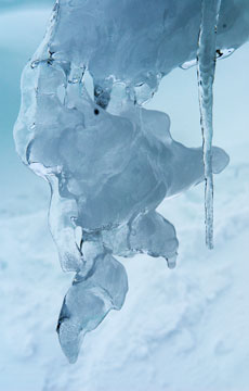 Icicles 0465