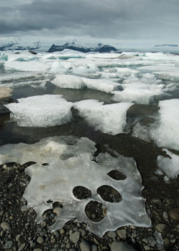 Jokulsarlon 0154