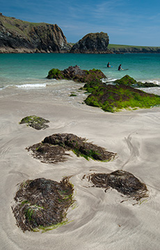 Kynance Cove 090_1249