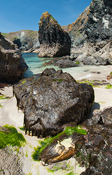 Kynance Cove 090_1251