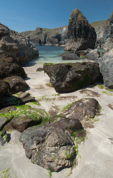 Kynance Cove 090_1253