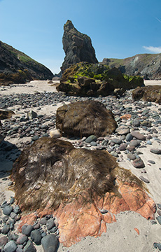 Kynance Cove 090_1256