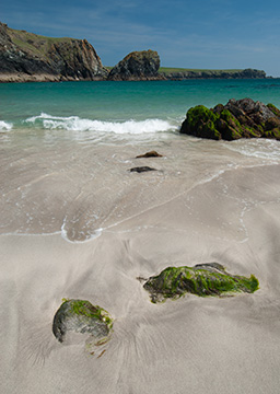 Kynance Cove 090_1260