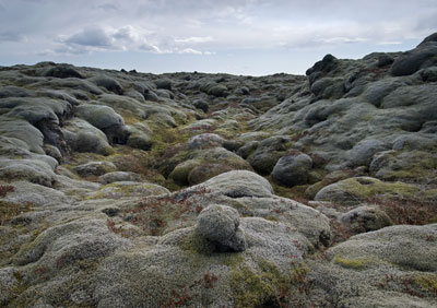 Lava Fields 0051