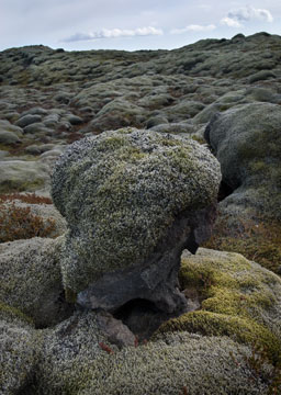 Lava Fields 0058