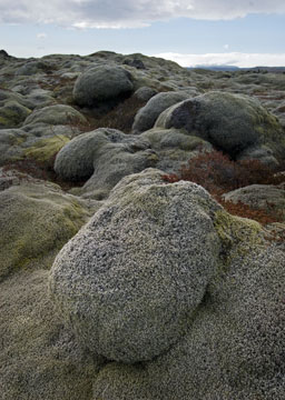 Lava Fields 0060