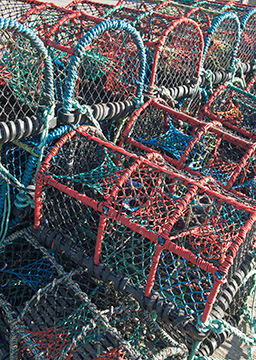 LobsterPots 112_0439