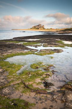 Bamburgh Castle D810_013_1380