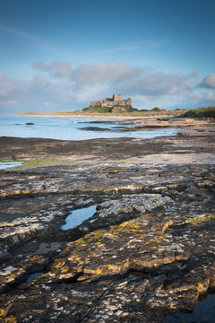 Bamburgh Castle D810_013_1386