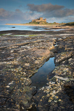 Bamburgh Castle D810_013_1390-2