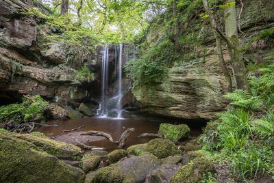 Roughting Linn D810_013_1501