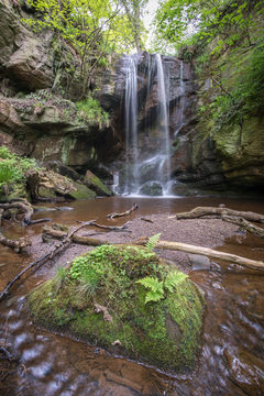 Roughting Linn D810_013_1536