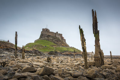 Lindisfarne D810_013_1589