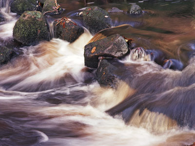 Padley Gorge 494_13