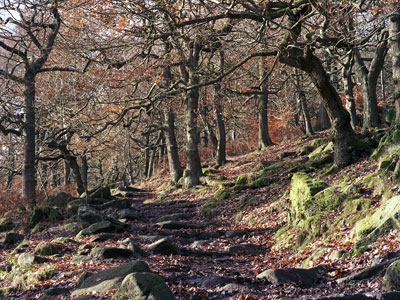 Padley Gorge 495_16