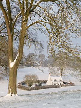 Park Cottage Snow G077_2023