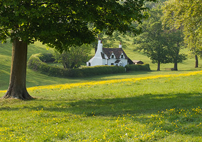 Park Cottage, Spring G056_1515