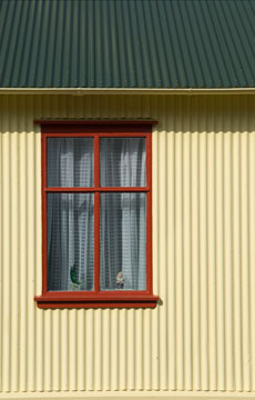 Red Window 029_0240