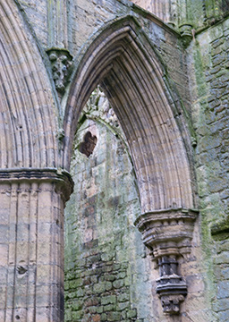 RievaulxAbbey 112_0313