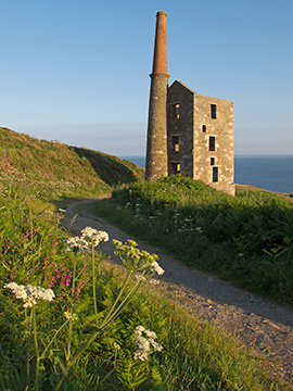 Rinsey Mine G168_4307