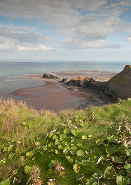 SaltwickNab 112_0060