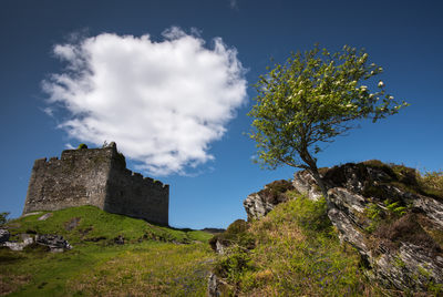 Castle Tioram_D810_012_1041