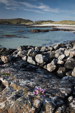 Sanna Bay_D810_012_1113