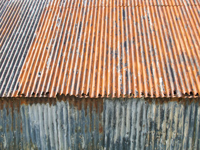 Tin Roof G11_269_7316-1