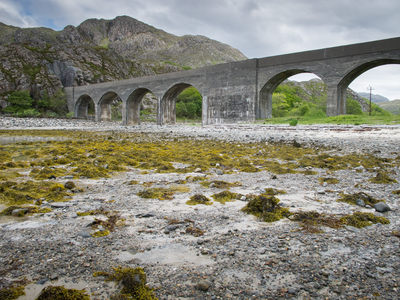 Viaduct G11_269_7321