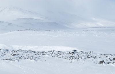 Snow And Mountains 0470