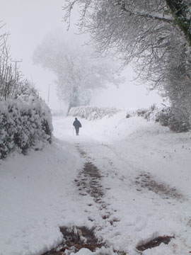 Figure In Snow S013_0934