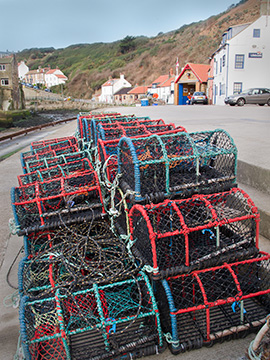 Staithes G178_4797