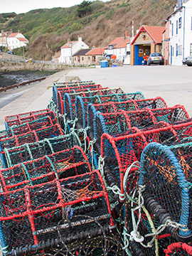 Staithes G178_4800