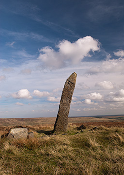 StandingStone 114_0080