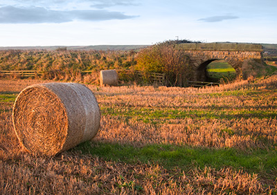 StrawBales G178_4752