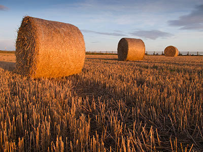 StrawBales G178_4756