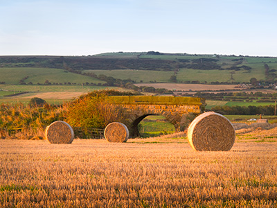 StrawBales G178_4757