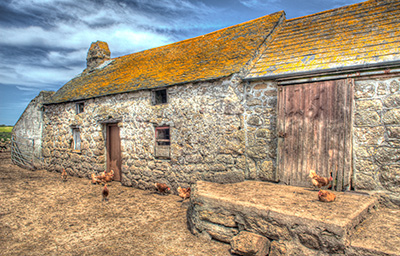 Chicken Farm HDR 069_0193