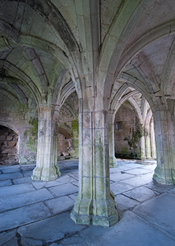 Valle Crucis Abbey 064_0024